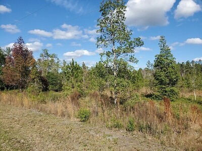 34435 Mitigation Trail Callahan, FL 32011 - Photo 8 of 20 Gallery Image 8