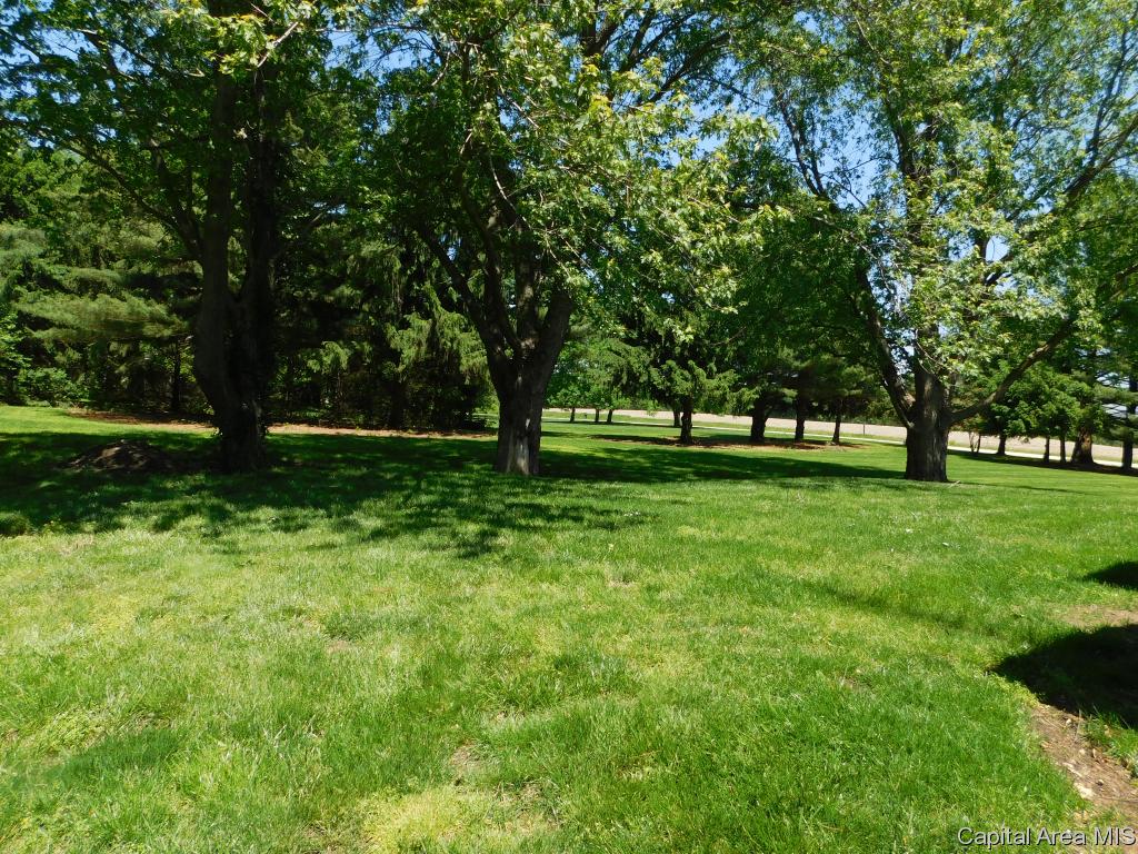 3063 Covered Bridge Road Chatham, IL 62629 - Photo 28 of 32
