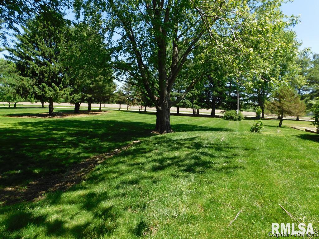 3063 Covered Bridge Road Chatham, IL 62629 - Photo 29 of 32