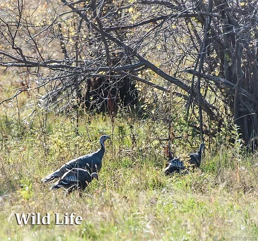 a view of a ocean with city view