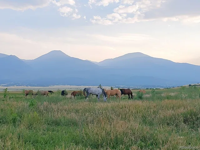 $750,000 | 1300 Running Bear, Cotopaxi, CO 81223