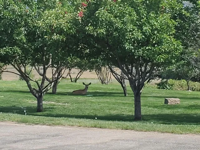 $750,000 | 1300 Running Bear, Cotopaxi, CO 81223