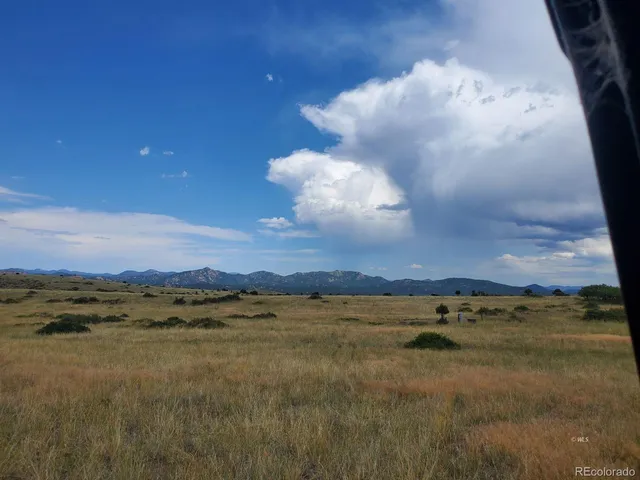 a view of a lake in middle of forest