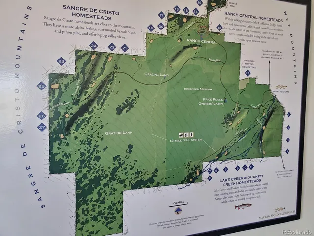 an aerial view of a swimming pool