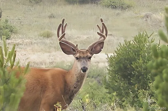 a view of sky from balcony