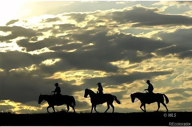 a backyard of a house with table and chairs under an umbrella
