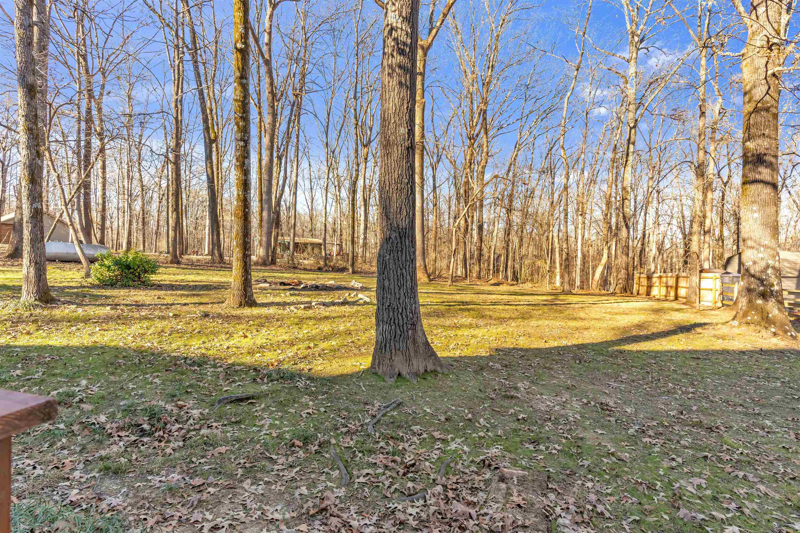310 Walnut Bend Road Arlington, TN 38002 - Photo 35 of 40 a view of outdoor space with street view