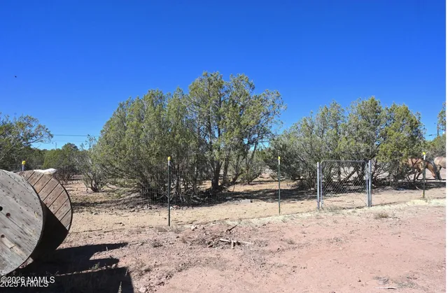 a view of a yard covered with snow in the background