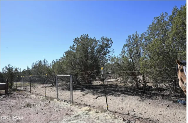 a view of a yard with plants and trees