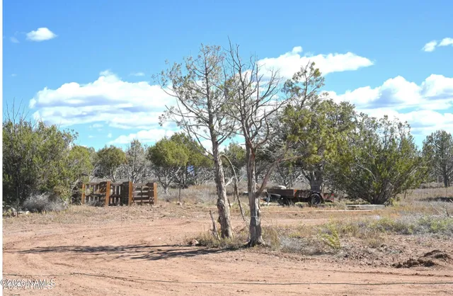 a view of a yard with an trees
