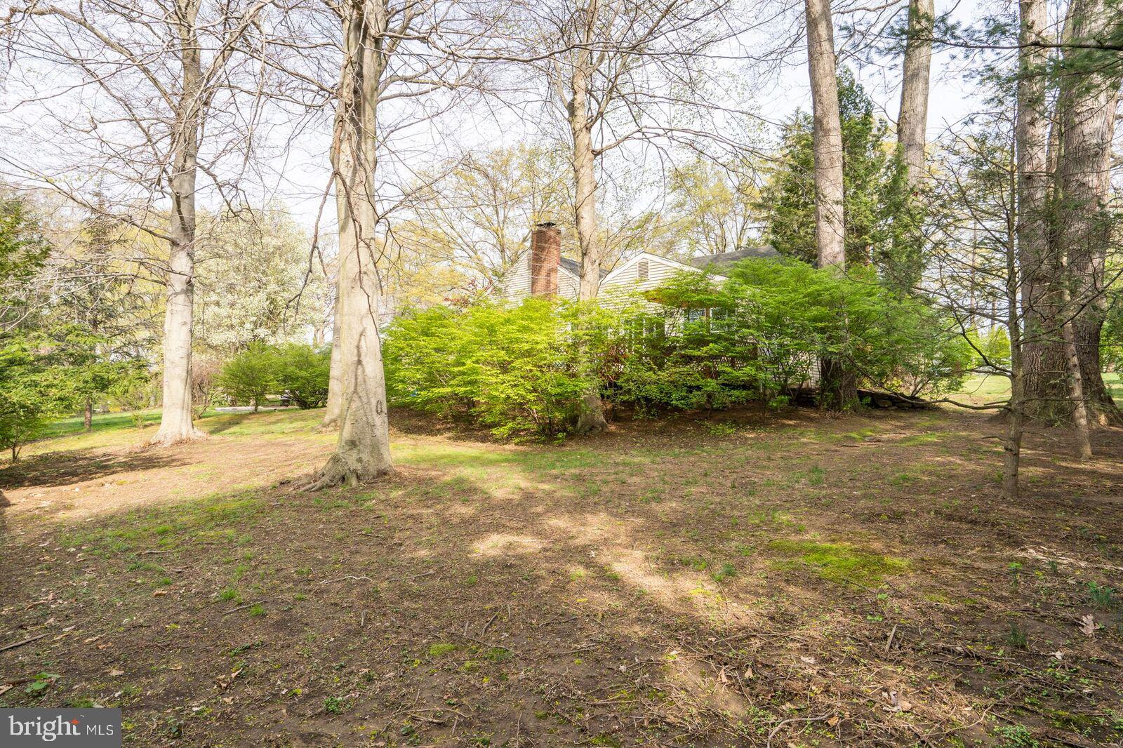 2311 Springview Road East Norriton, PA 19401 - Photo 47 of 51 Backyard