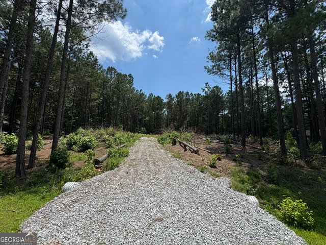 a view of a backyard with pathway