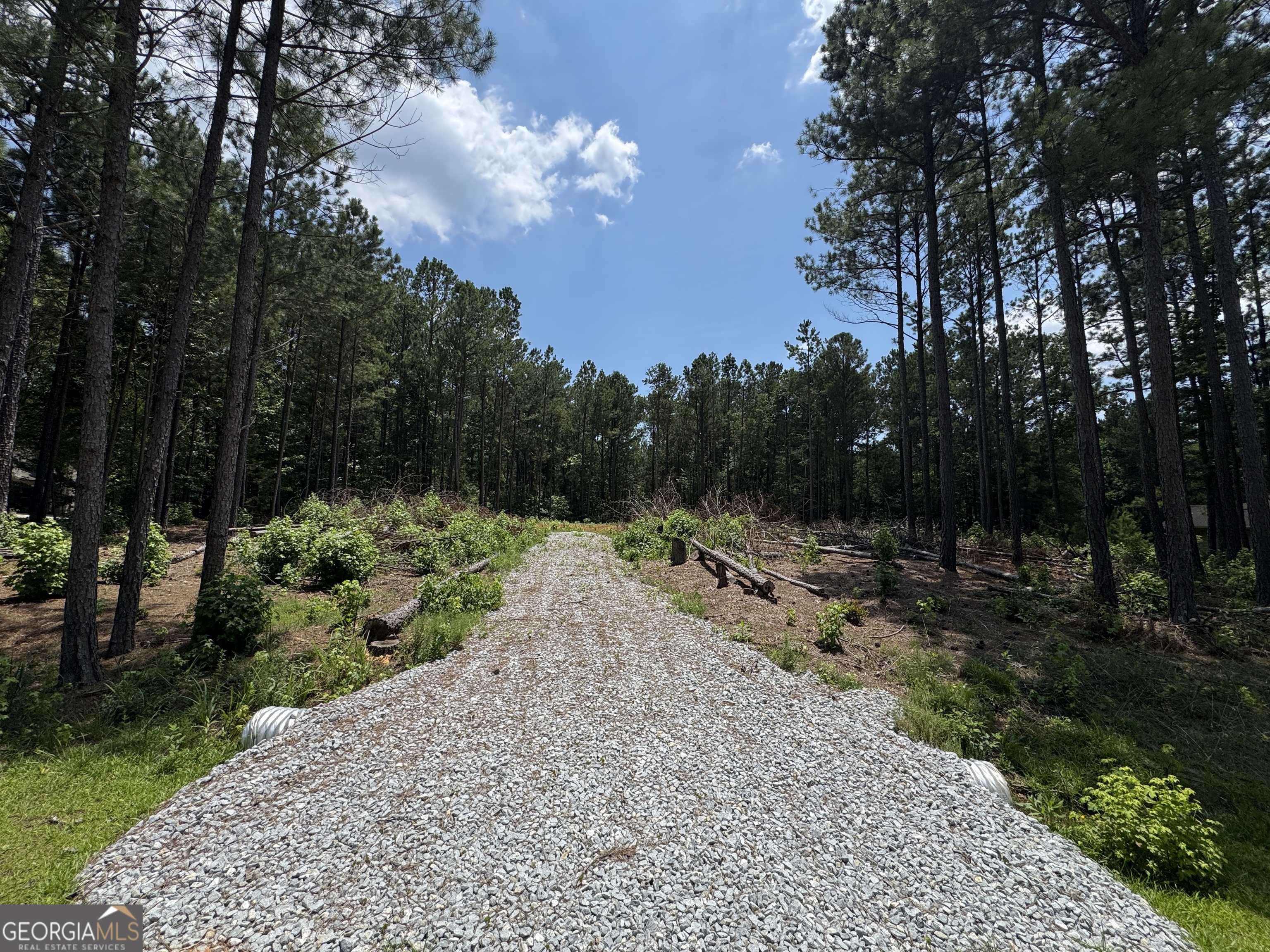 a view of a backyard with pathway