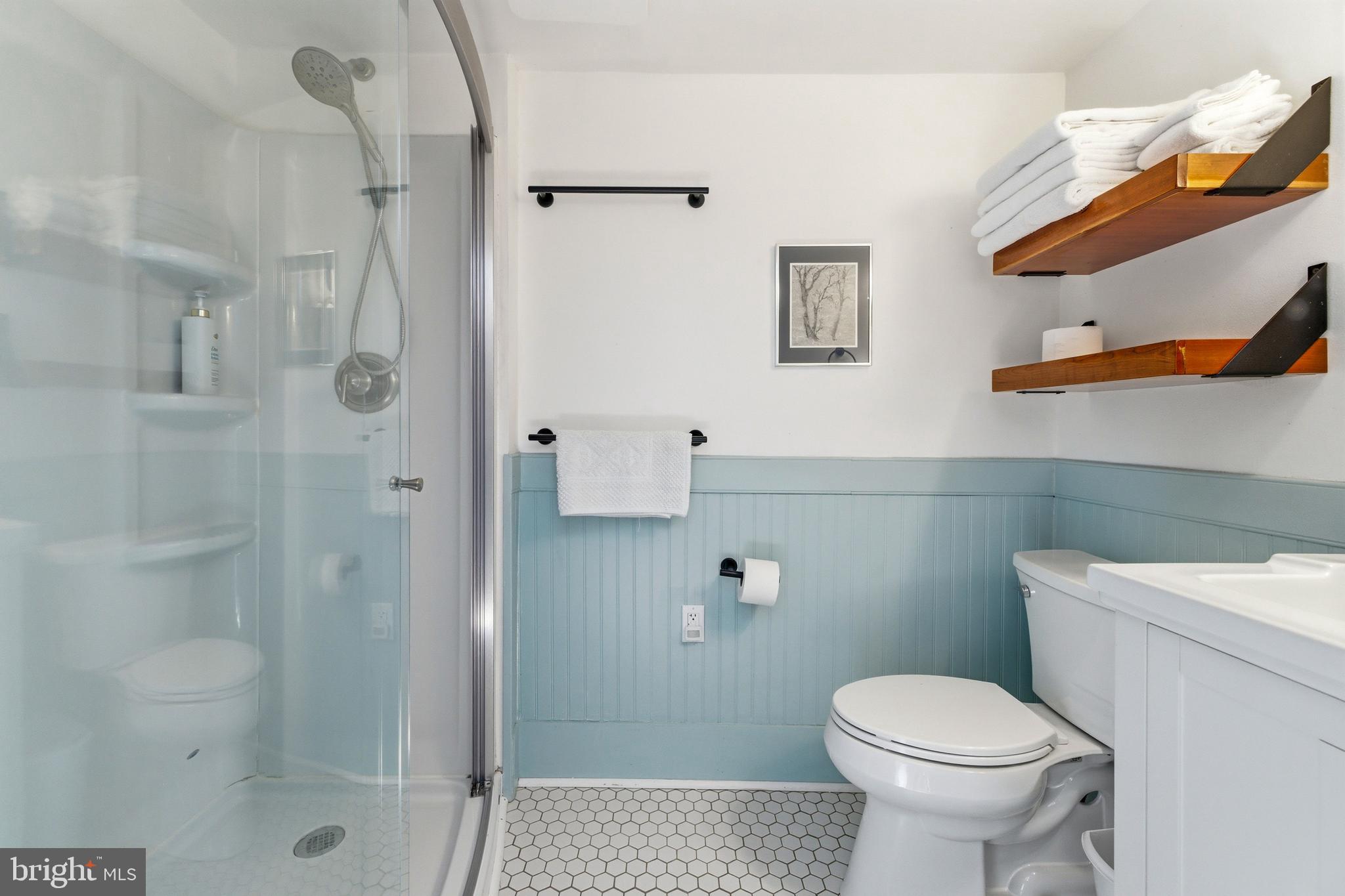 769 Rocky Branch Road Luray, VA 22835 - Photo 38 of 94 a bathroom with a toilet and a shower