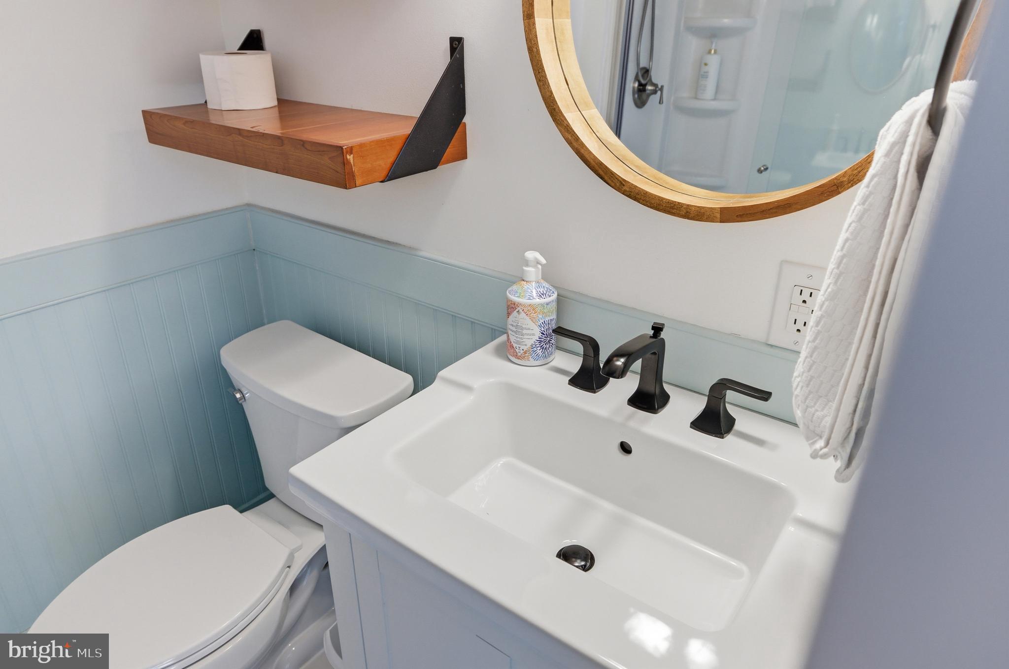 769 Rocky Branch Road Luray, VA 22835 - Photo 39 of 94 a bathroom with a sink a toilet and a mirror
