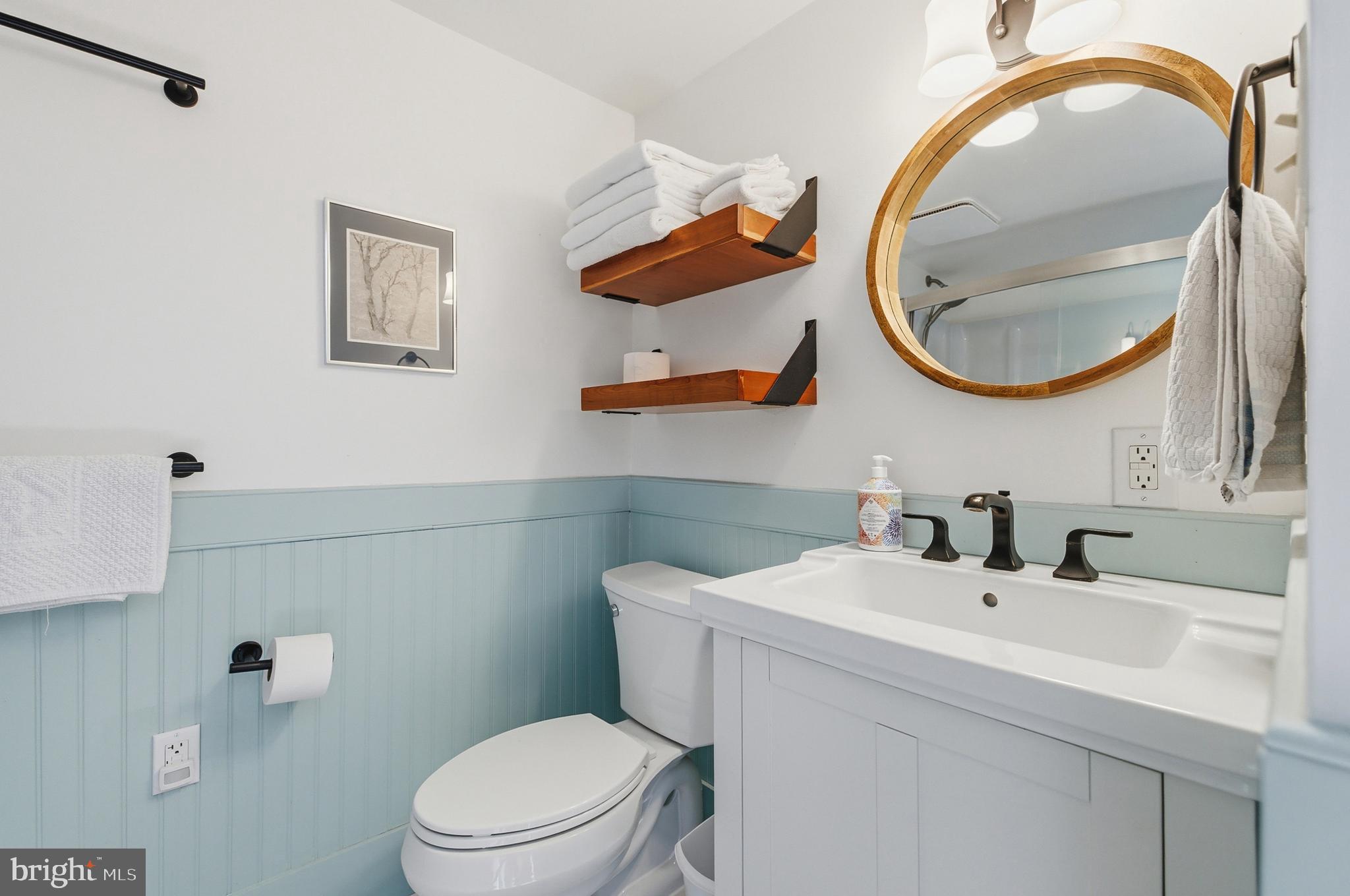 769 Rocky Branch Road Luray, VA 22835 - Photo 40 of 94 a bathroom with a sink a toilet and a mirror