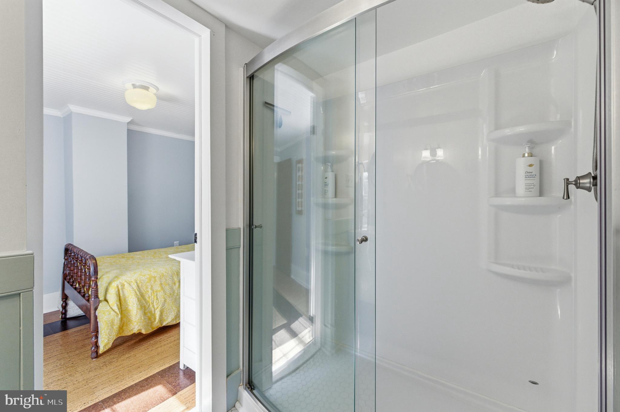 769 Rocky Branch Road Luray, VA 22835 - Photo 41 of 94 a bathroom with a tub shower and mirror