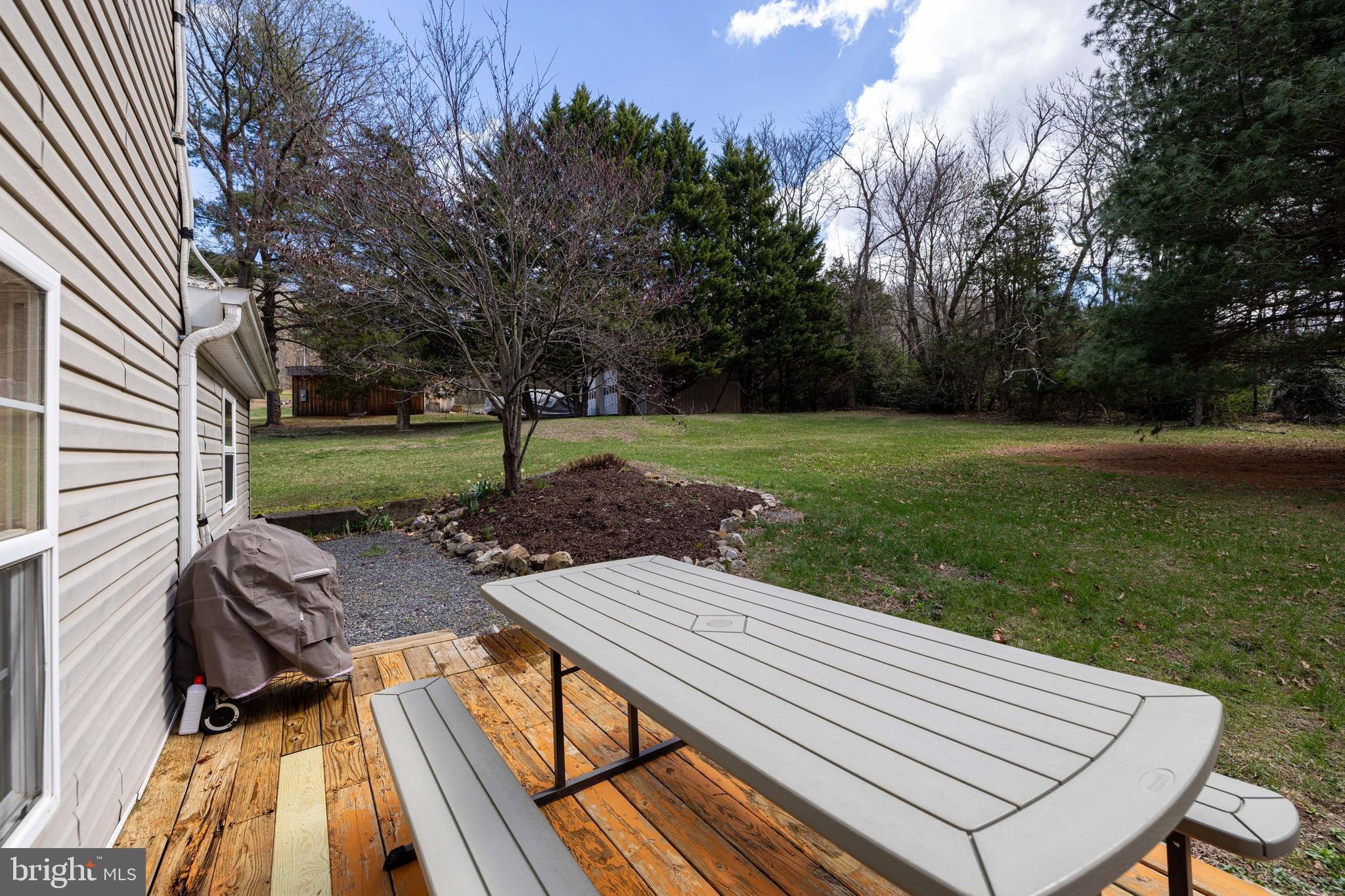 769 Rocky Branch Road Luray, VA 22835 - Photo 56 of 94