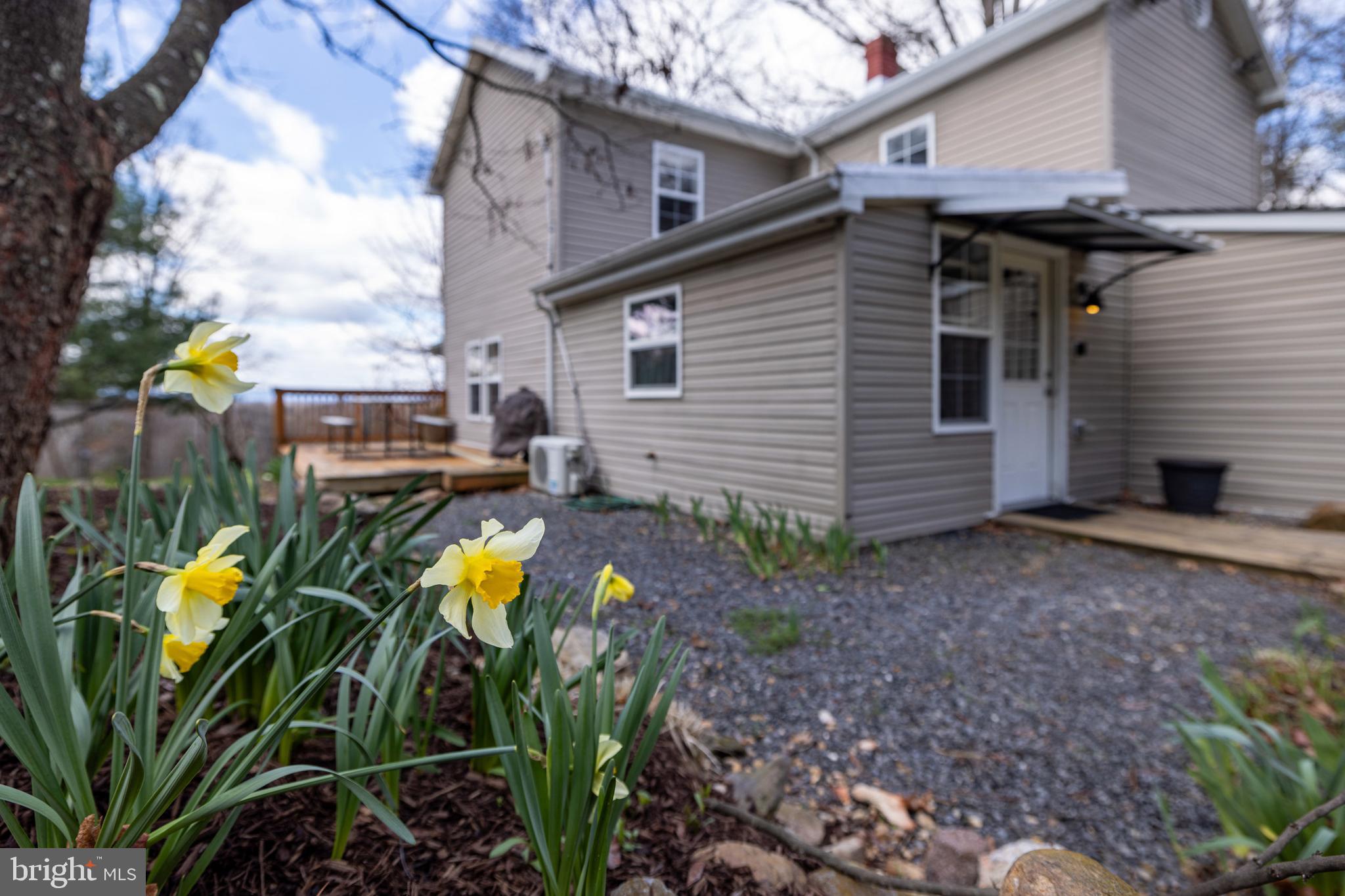 769 Rocky Branch Road Luray, VA 22835 - Photo 58 of 94