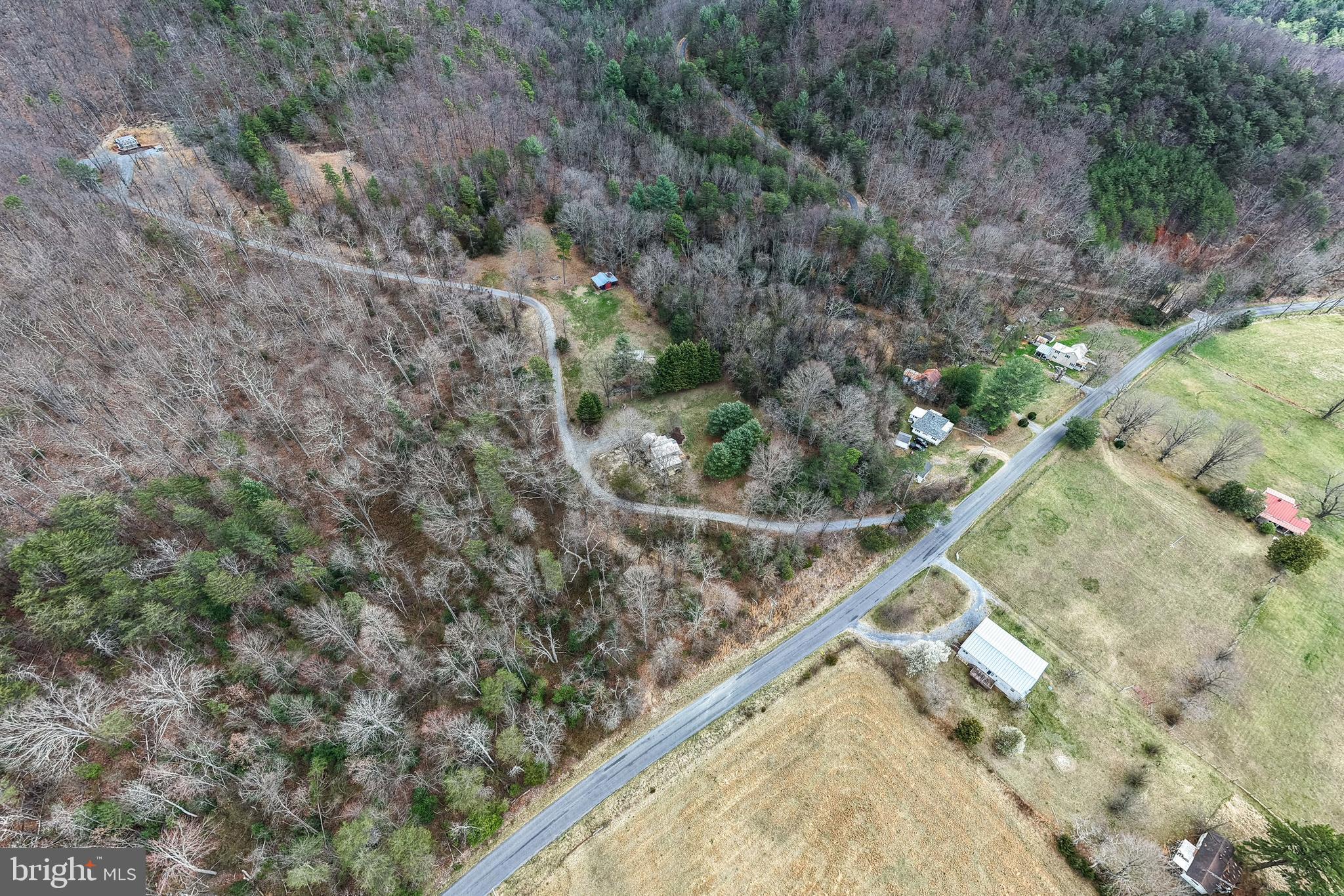 769 Rocky Branch Road Luray, VA 22835 - Photo 74 of 94 a view of a forest from a balcony