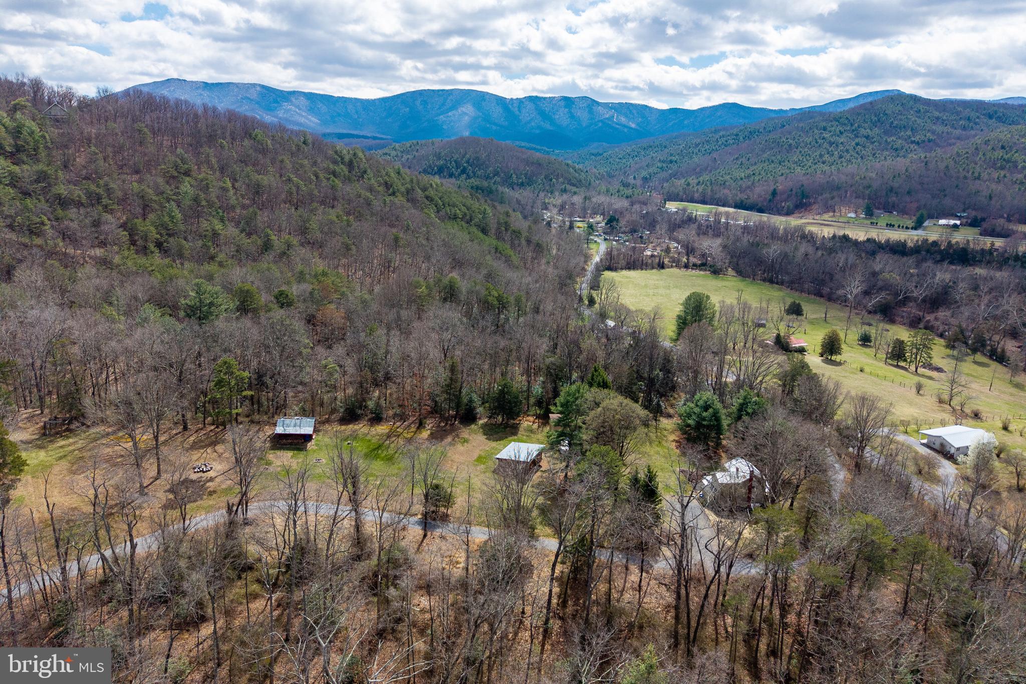 769 Rocky Branch Road Luray, VA 22835 - Photo 84 of 94 a view of a lake in middle of the forest