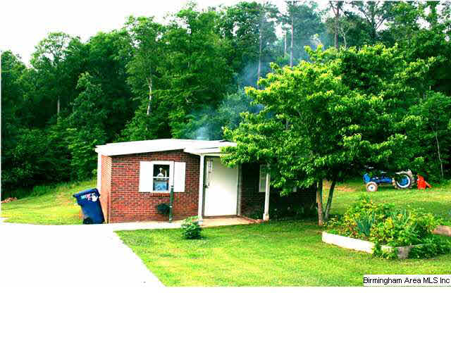 179 Dorr Road Oneonta, AL 35121 - Photo 7 of 21