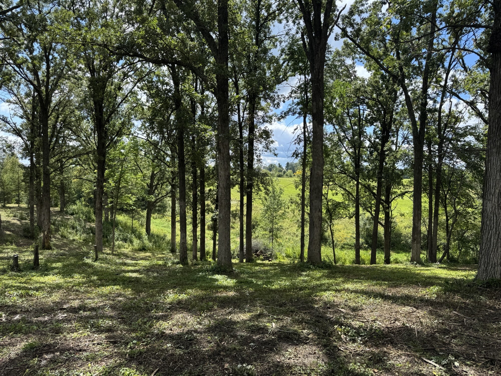 Lot 28 21st Street Rice Lake, WI 54868 - Photo 13 of 40