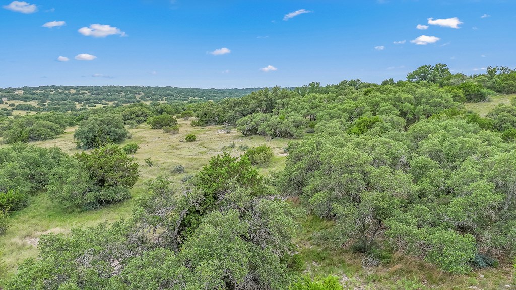 41 Rocksprings Tx 78880 Rocksprings, TX 78880 - Photo 45 of 62