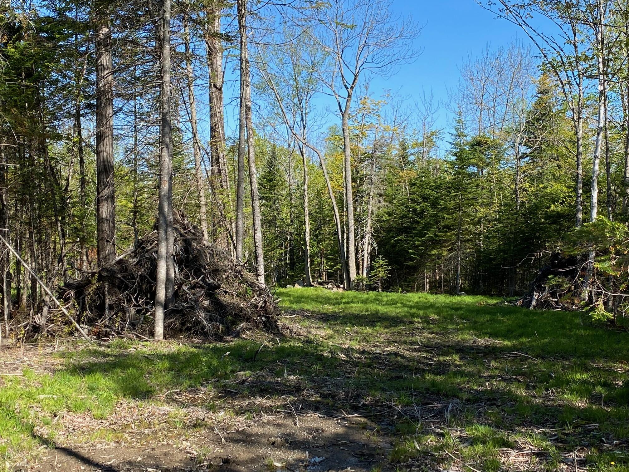 2 Tumbledown Lane Greenville, ME 04441 - Photo 1 of 17 IMG_2850