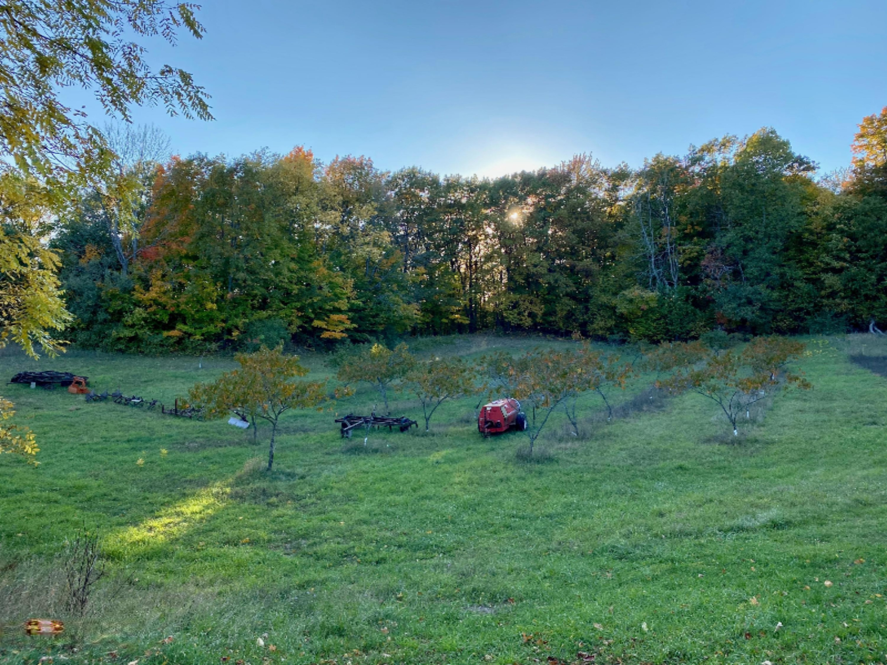 4824 Maidens Road Onekama, MI 49675 - Photo 49 of 56 orchard by pole barn