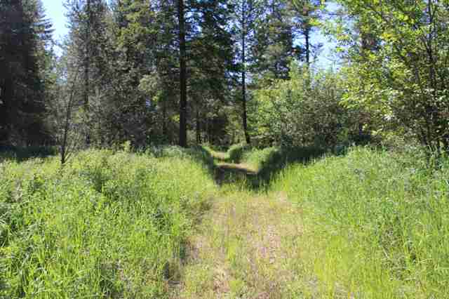 Xx Xx Stonebrook Way Springdale, WA 99173 - Photo 2 of 8