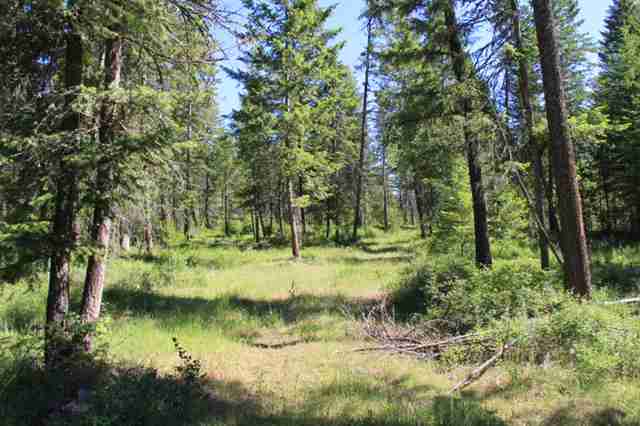 Xx Xx Stonebrook Way Springdale, WA 99173 - Photo 4 of 8