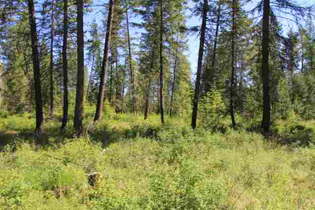 Xx Xx Stonebrook Way Springdale, WA 99173 - Photo 5 of 8