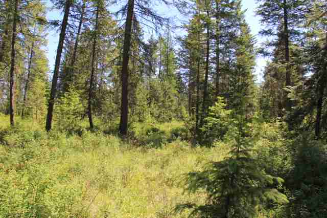 Xx Xx Stonebrook Way Springdale, WA 99173 - Photo 6 of 8