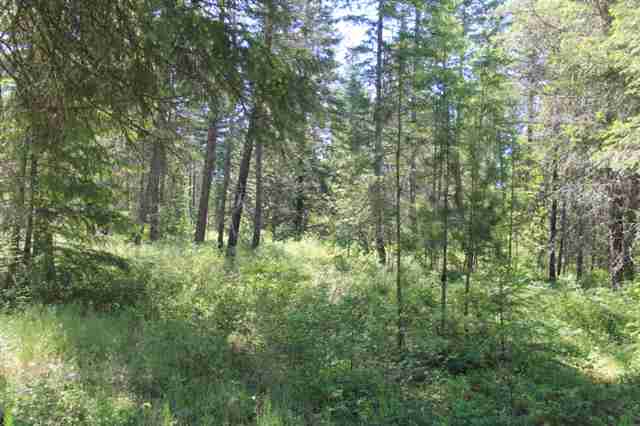 Xx Xx Stonebrook Way Springdale, WA 99173 - Photo 7 of 8