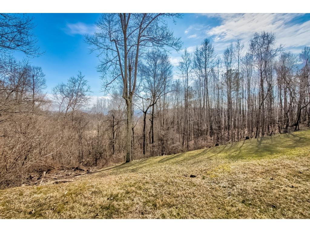 4849 Edens View Road Kingsport, TN 37664 - Photo 30 of 31 Back property lined wtrees