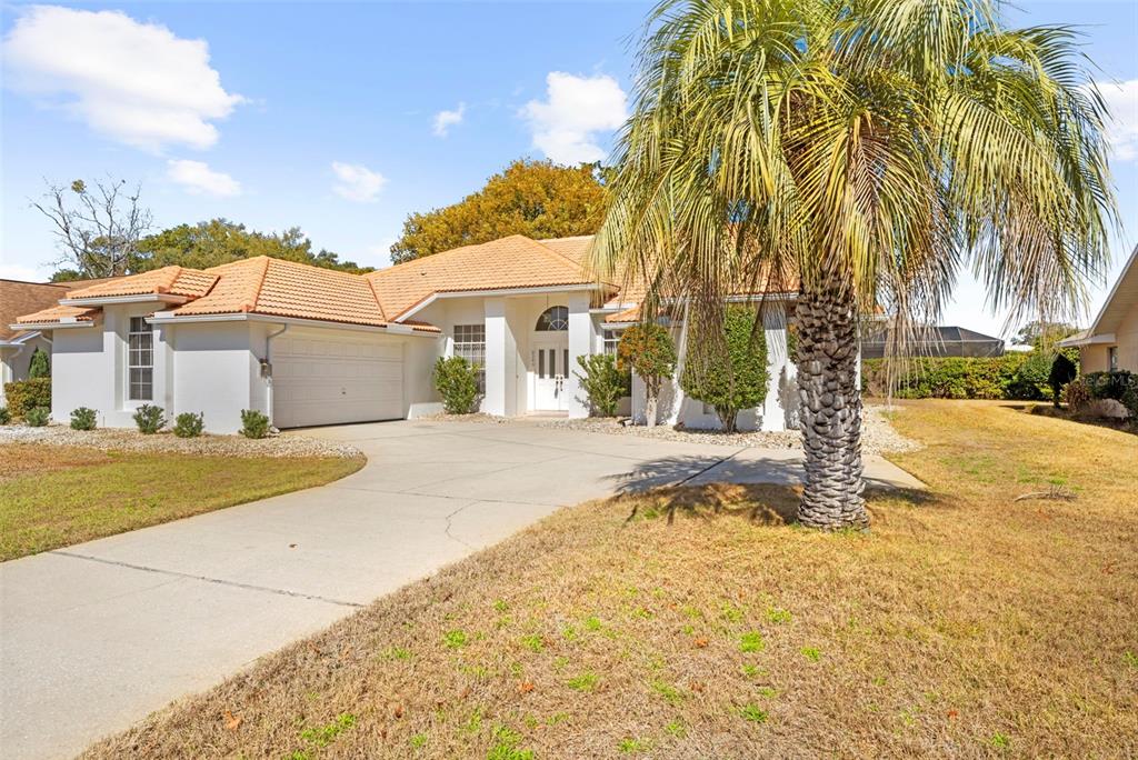 9369 Ashley Drive Weeki Wachee, FL 34613 - Photo 59 of 80 a view of a white house with a large trees and plants