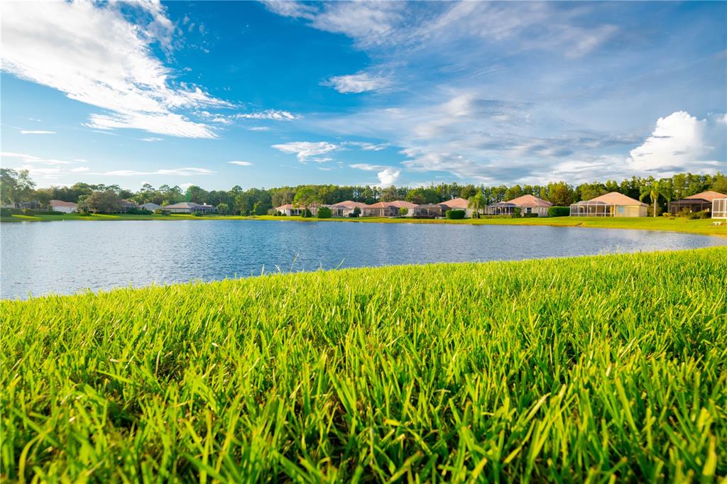 9369 Ashley Drive Weeki Wachee, FL 34613 - Photo 80 of 80 a view of an outdoor space and mountain view