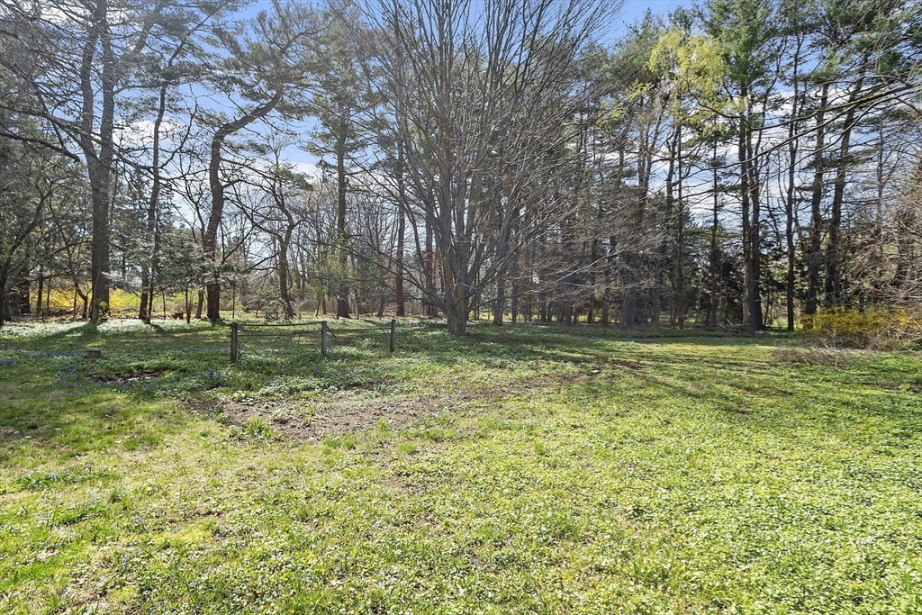 229 Musketaquid Road Concord, MA 01742 - Photo 19 of 21 a view of outdoor space with trees all around