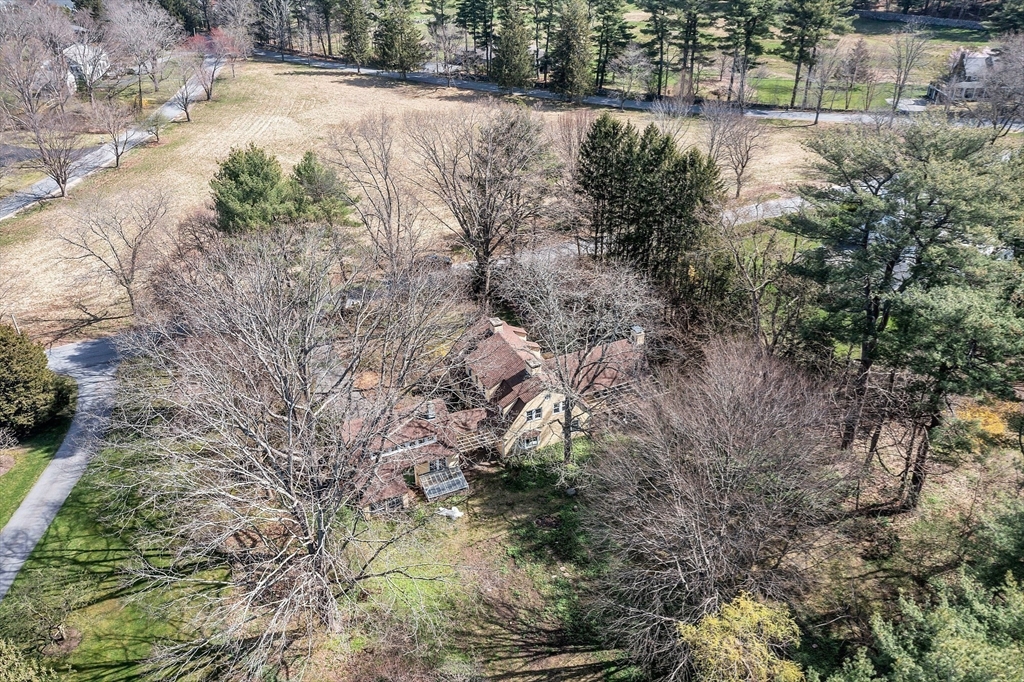 229 Musketaquid Road Concord, MA 01742 - Photo 20 of 21 a view of a yard with large trees