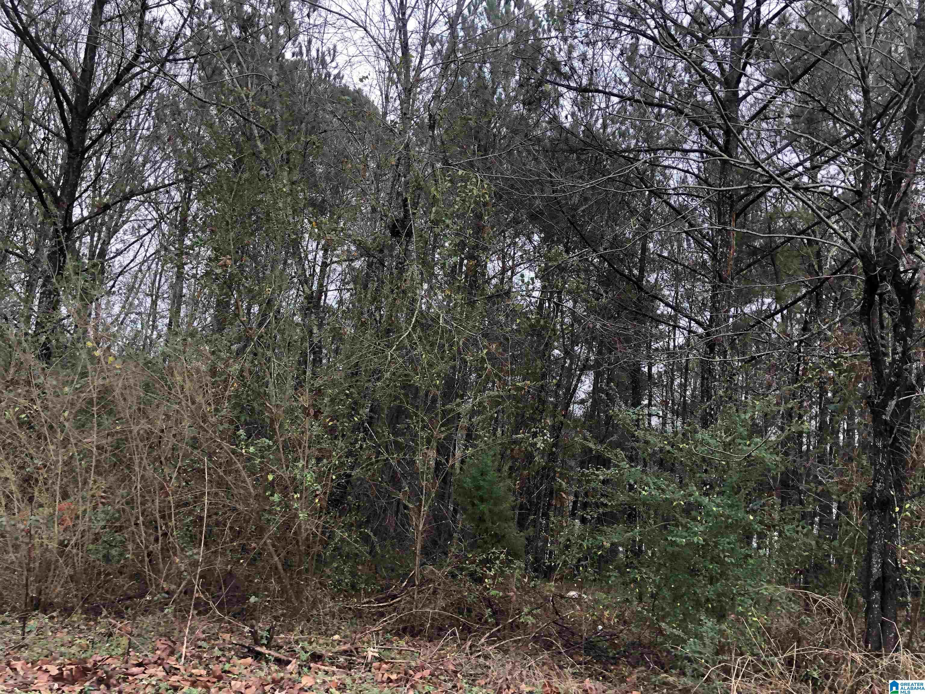 0 Autumn Ridge Trail, Unit 26 Pell City, AL 35128 - Photo 8 of 31
