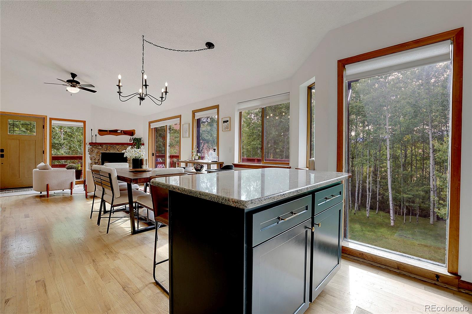 188 Silver Springs Road Bailey, CO 80421 - Photo 11 of 50 Gallery Image 11