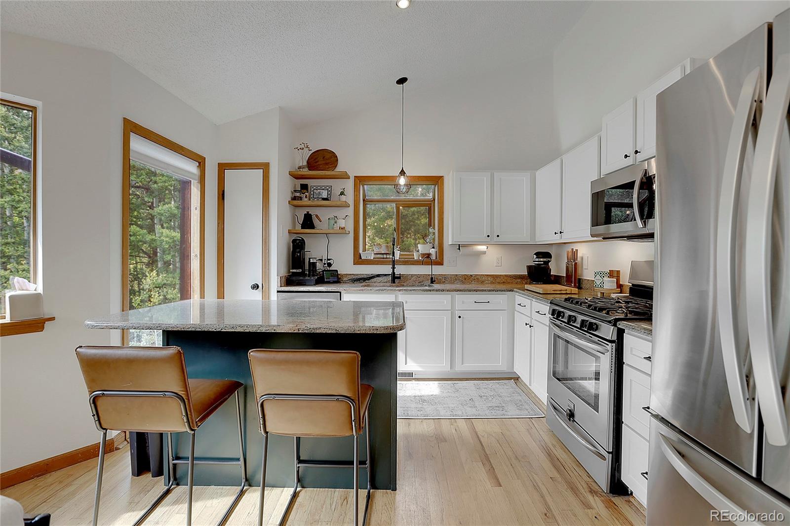 188 Silver Springs Road Bailey, CO 80421 - Photo 7 of 50 Gallery Image 7