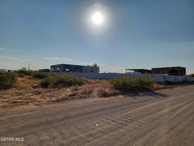 a view of a dry yard with trees