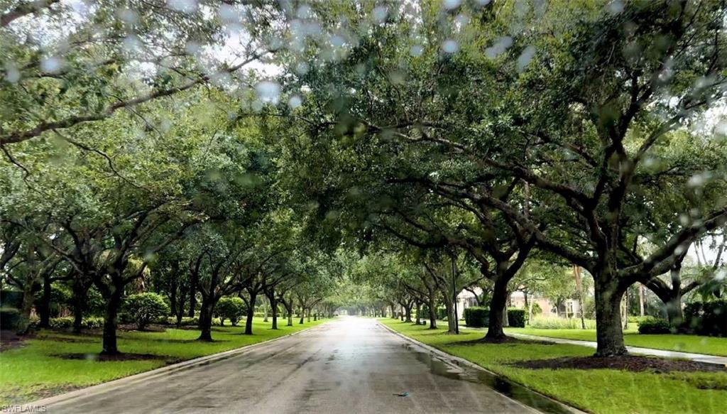 4187 St George Lane Naples, FL 34119 - Photo 3 of 33 a view of a park with trees and a pathway