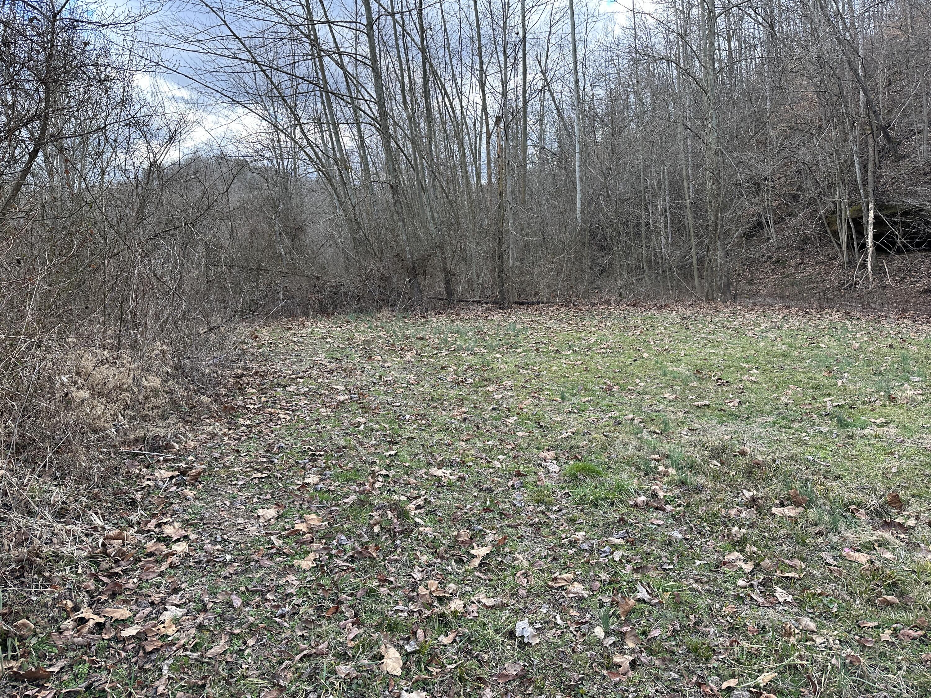 11 Williams Creek Road Rush, KY 41168 - Photo 20 of 42 19