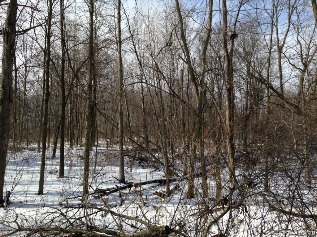 1375 West Marr Road Howell, MI 48855 - Photo 32 of 34 IMG_1643.jpg