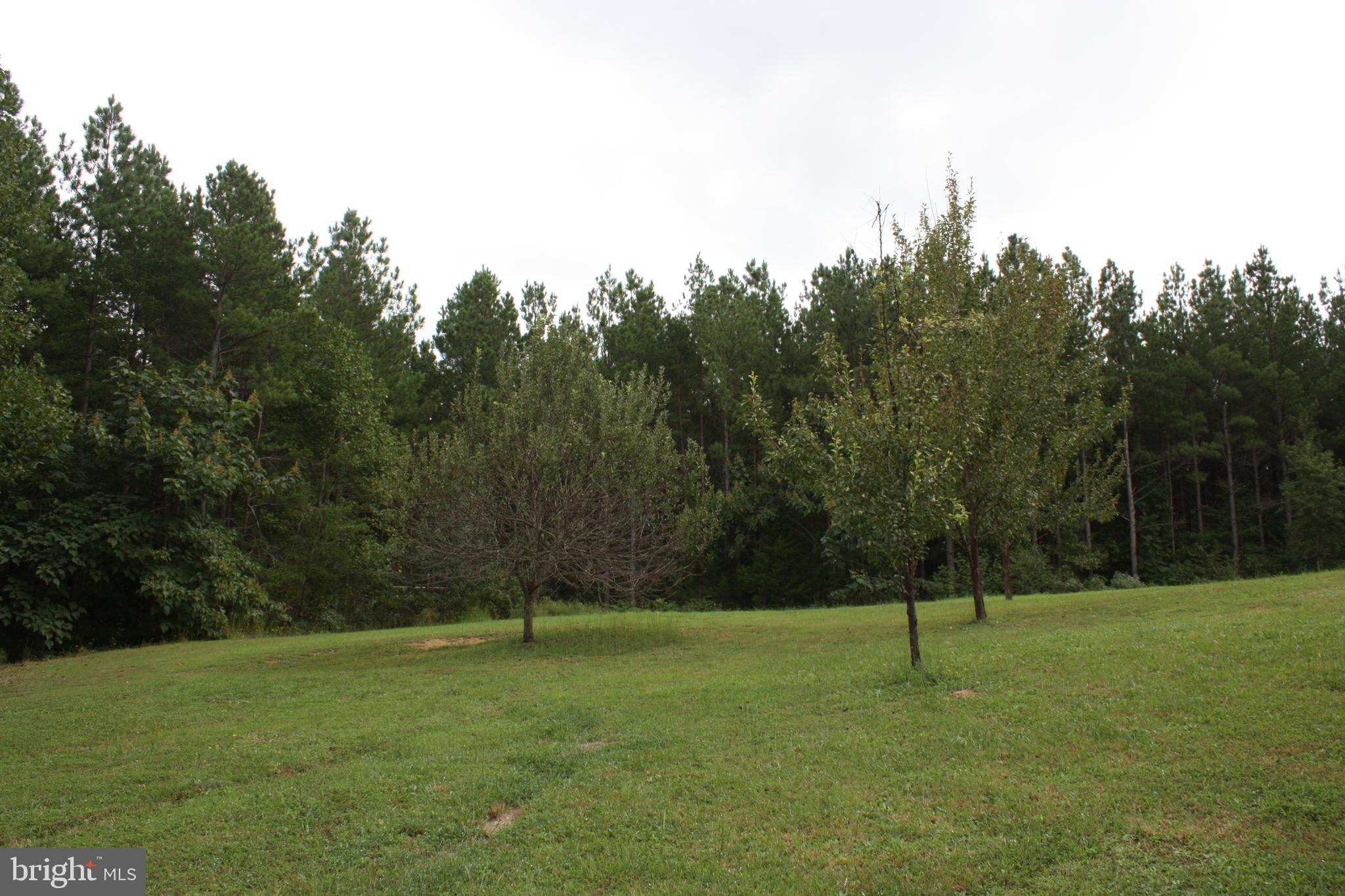 2137 Johnson Road Mineral, VA 23117 - Photo 8 of 34