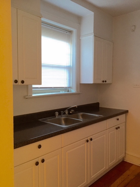 3746 West Irving Park Road, Unit 2B Chicago, IL 60618 - Photo 8 of 13