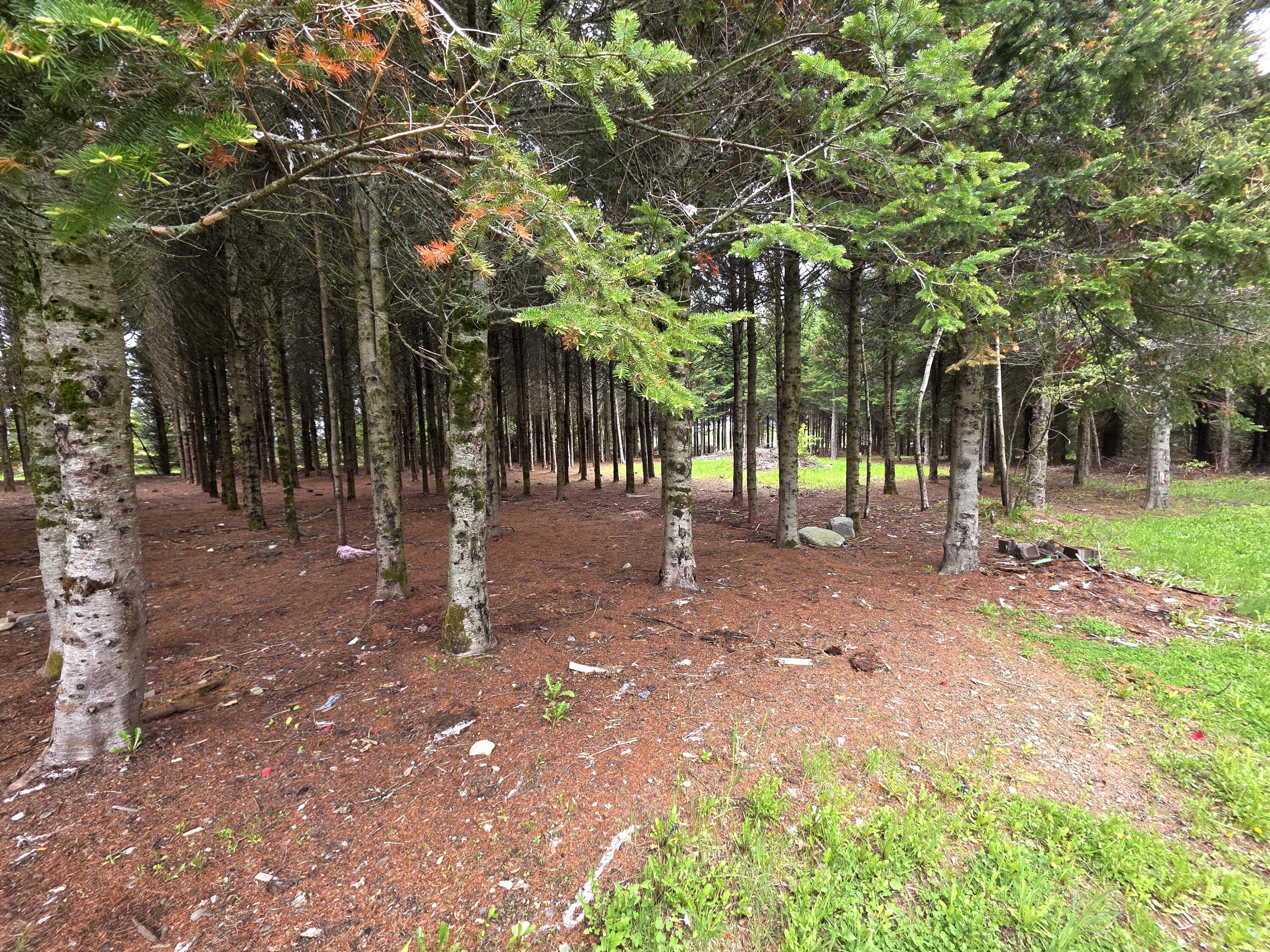 929 Access Highway Limestone, ME 04750 - Photo 8 of 18 45958